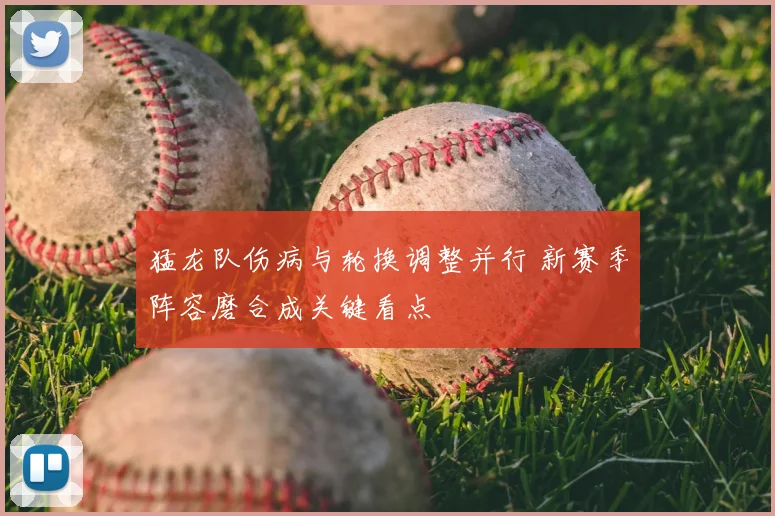 猛龙队伤病与轮换调整并行 新赛季阵容磨合成关键看点