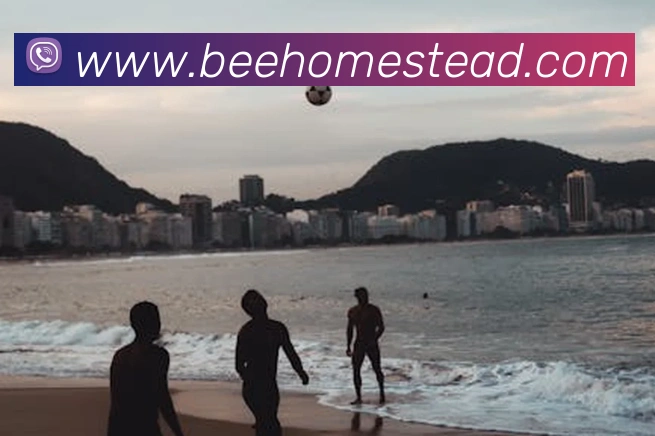 世界杯开户平台发展历程